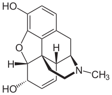morphine molecule