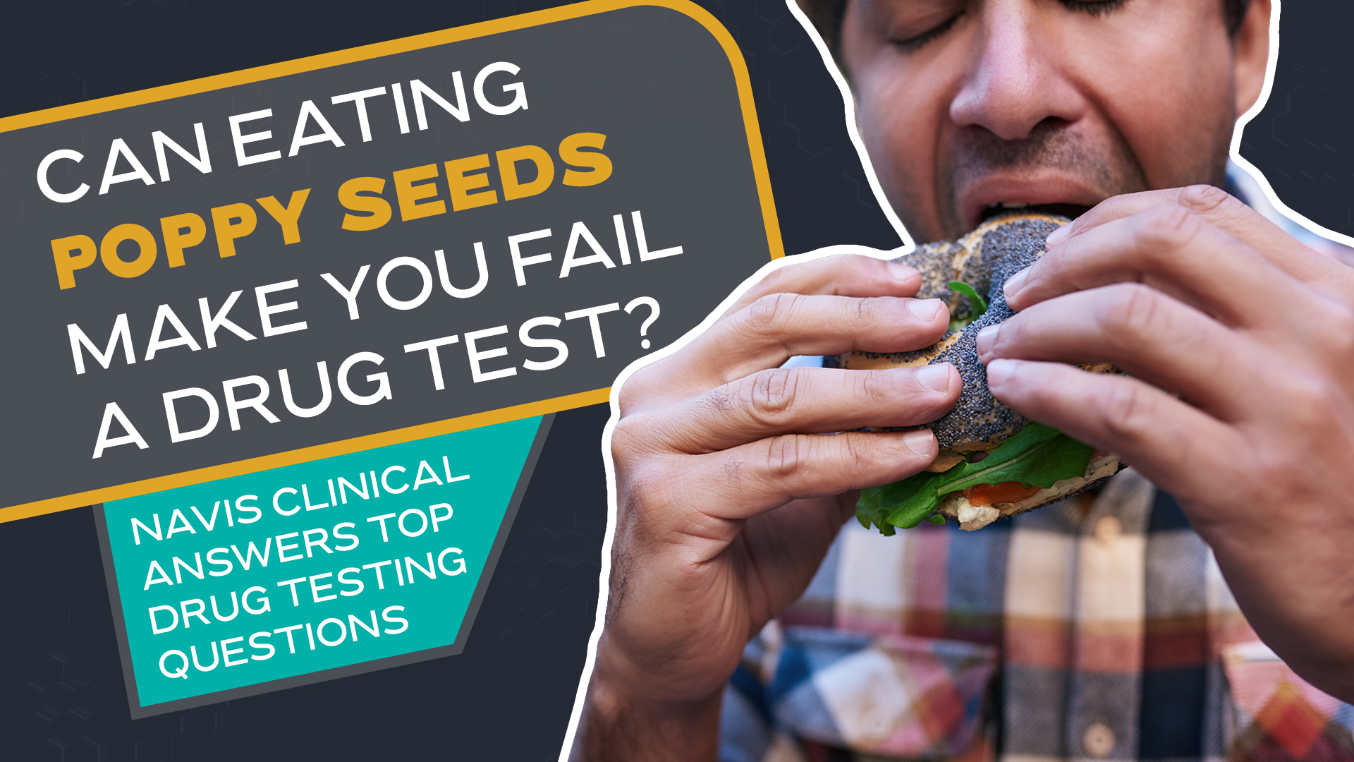 Can Eating Poppy Seeds Make You Fail a Drug Test?